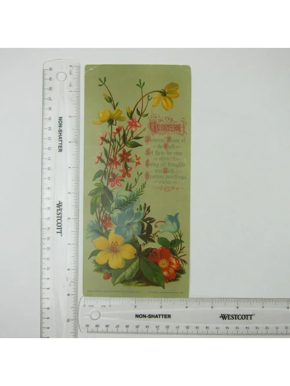Victorian Greeting Card LARGE Flowers Red Yellow Blue Pink Antique 1881